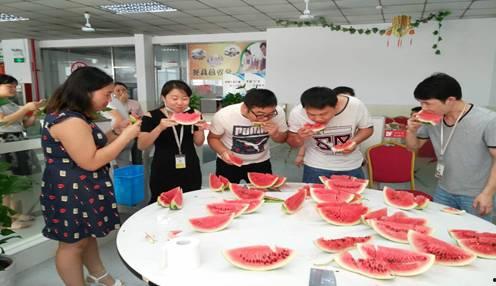 趣味吃瓜比赛作文,舌尖上的欢乐盛宴