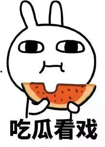 娱乐吃瓜酱悲观,悲观视角下的娱乐圈风云变幻